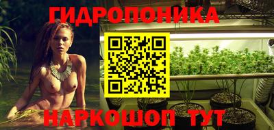 стафф Краснокаменск