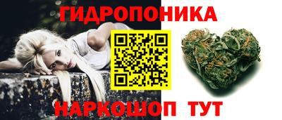 a pvp Краснознаменск
